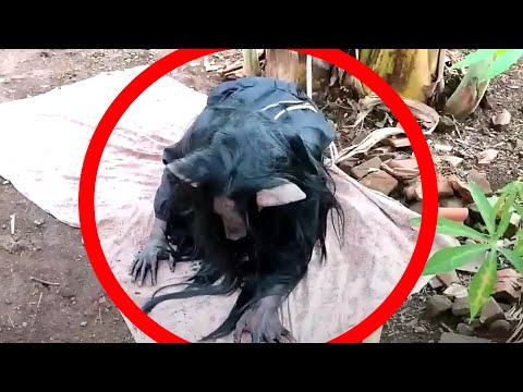 Mujer Se Transforma En Animal Nahual En Una Transmisión En Vivo