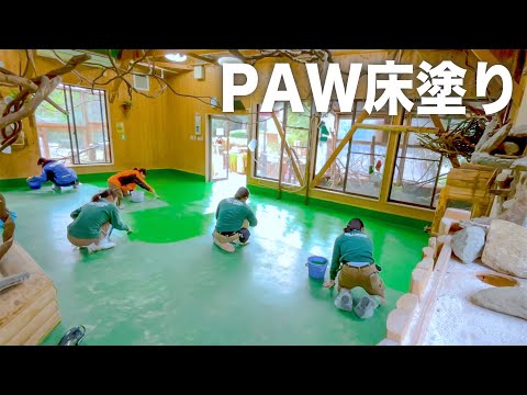 PAWの休館日に床のペンキ塗りを行いました！【飼育員のお仕事シリーズ】