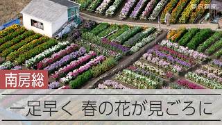 動画サムネイル