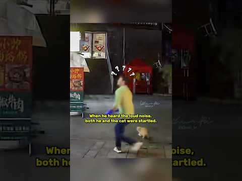 Being kind and compassionate truly brought blessings.🥰 - #youtubeshorts #viralshort #humanity #cat