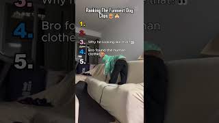 Ranking The Funniest Dog Clips👀🤣
