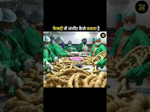 Anjeer Dry Fruits Making Process #farming #farmer #making