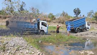 Dump Truck Stuck in Mud! Truk Pasir Terjebak Kubangan