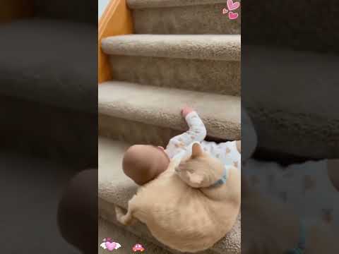 Phillies land All-Star closer Jhoan Duran ahead of MLB trade deadline 👀🔥 #JhoanDuran