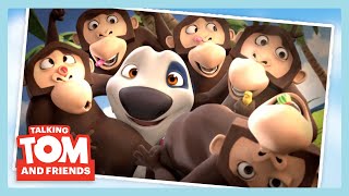 Problemas con los monos | Talking Tom | WildBrain Niños