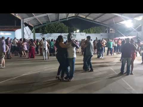 Vamos dança #passossertanejos #roça #vidanaroça #agro #minasgerais #vidareal  #mulherbonita