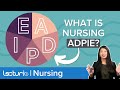 Understanding the Nursing Process: ADPIE