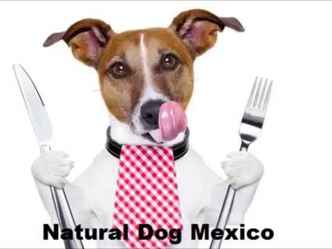 Alimento para perro Natural Dog