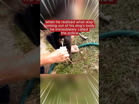 what was coming from dog's body true story #youtubestory #thrillingstory