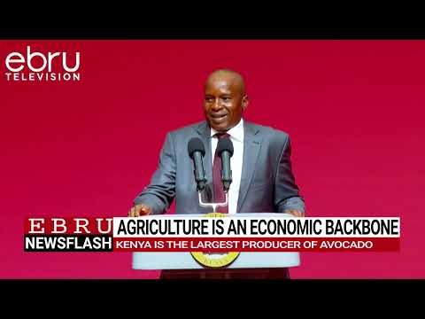 DP Kindiki Says Agriculture Remains Cornerstone of Kenya’s Economy. #ebrunews