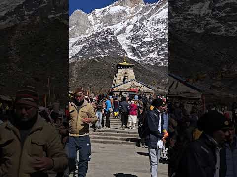 लाईव अपडेट केदारनाथ धाम से