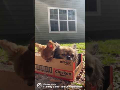 Tastes like chicken?!?