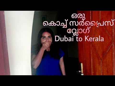 ഒരു കൊച്ച് സർപ്രൈസ് വ്ലോഗ് | Dubai to Kerala surprise vlog |