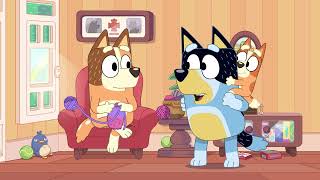 בלואי | Bluey | איפה בינגו