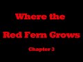 Exploring Chapter 3 of Where the Red Fern Grows