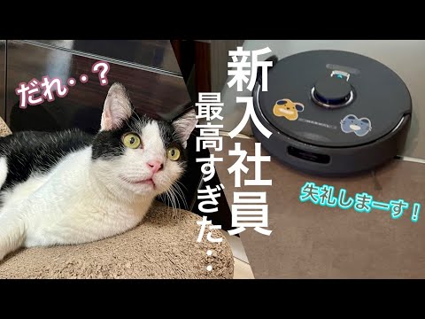 先生の救世主！AI搭載の新入社員が最高すぎた…【Narwalお掃除ロボットFreo Z Ultra】