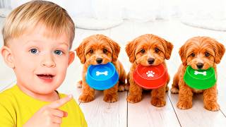 Pets & Animal Stories for Kids