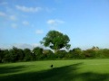 sunny200
