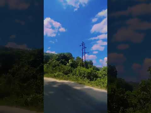 #nature #highlights #viralvideo #love #jaishreeram #youtubeshorts