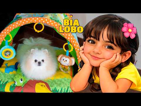 Bia Lobo Com Chloe Pomerania Nova Cazinha de Cachorrinho