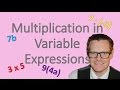 Multiplication and Expressions Concepts