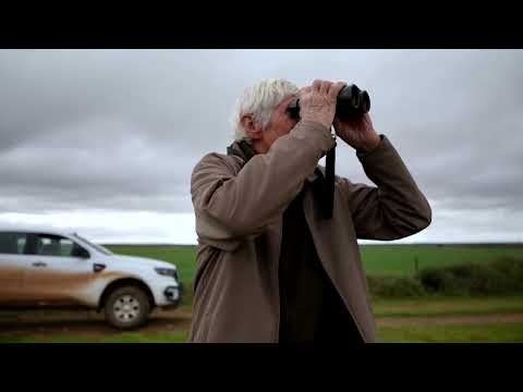 YouTube video thumbnail: South Africans Scrambling to Save Blue Cranes From Extinction