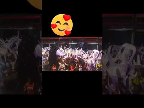 💃💃💃💃💃💃