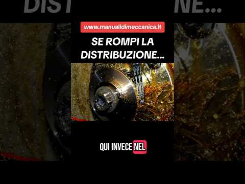 Se rompi la catena di distribuzione!www.manualidimeccanica.it #shorts #automobile