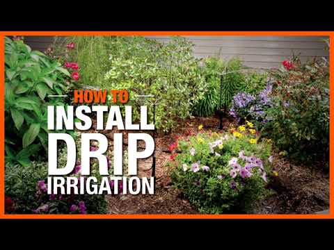 How to Install Drip Irrigation