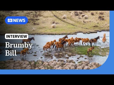 YouTube video thumbnail: NSW to Scrap Law Recognising Heritage Value of Brumbies in Kosciuszko National Park