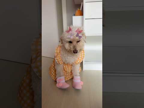 TRANSFORMEI O SLINK NA JASMIM