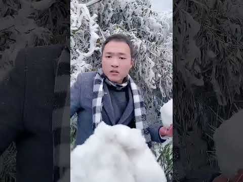 I want to play in the snow and you want to risk your life with me #funny#funnyshorts#funnyvideo
