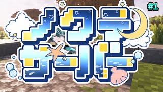 【MINECRAFT】初めてのサーバー参戦、大活躍するぞ～！！【＃ノクテ鯖】