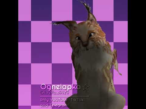 СПАСИБО ЗА ПОЧТИ 2К,ВЫ ЛУЧШИЕ ❤️#ваилдкрафт #wildcraft #нетхейту #edit #анимация #актив #animation