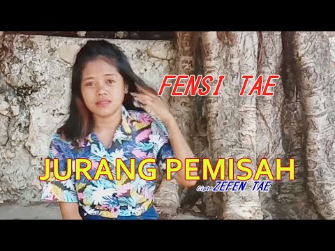 JURANG PEMISAH-Cipt Zefen Tae-By FENSI TAE-Album Pop Indonesia