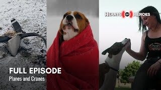 Season 7, Episode 5: Planes and Cranes
