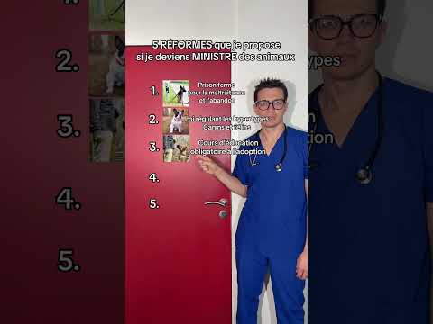 Si j’étais ministre des animaux #top #chien #chat
