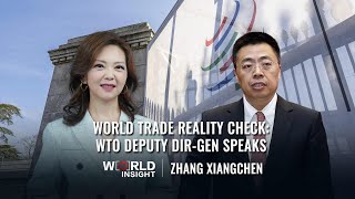 The future of trade: Reality check from WTO Deputy Director-General Zhang Xiangchen