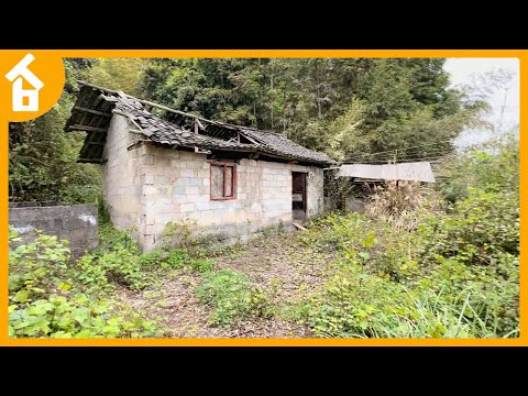My Sister Gave Me a Dilapidated House, I DIY Transformed It, Made a Kitchen and a Farmhouse for Dogs
