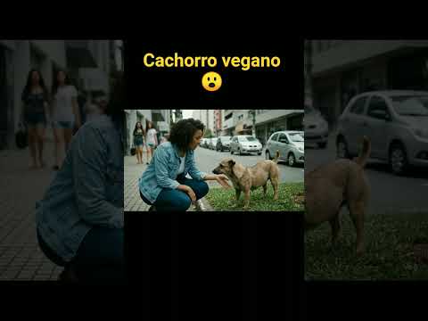 primeiro cachorro vegano de 2025 😮 #memes #ia #humor
