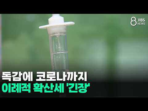 독감에 코로나까지...이례적 확산세 '긴장'/JIBS/제주/2026.09.11