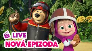 🔴 LIVE! Máša a Medvěd 🐻👧 NOVÁ EPIZODA 💥 Náhlá zatáčka 🐻🛵 Masha and the Bear