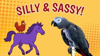 Purple Horse? Red Chicken? Einstein Parrot Gets Sassy and Silly!