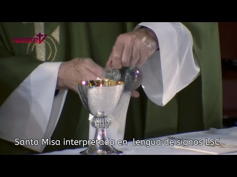 Santa Misa: Domingo 3 de noviembre de 2024. Interpretada en lengua de signos