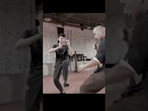 Wing Chun Essentials: Ultimate Techniques Showcase