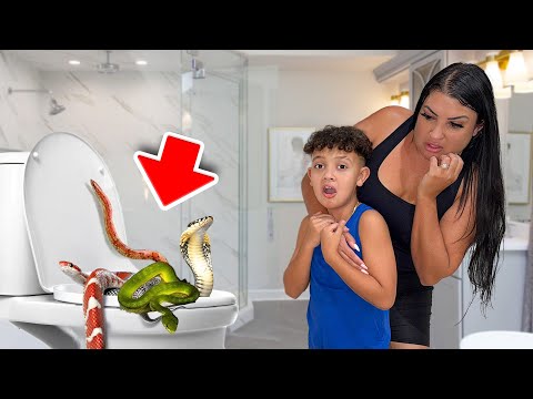 We Found a VENOMOUS SNAKE Coming Out of the TOILET...