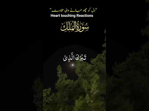 Surah Al-Mulk Ayat 1 💖 | The King of All Kingdoms | Heart Touching Quran Recitation 🌙