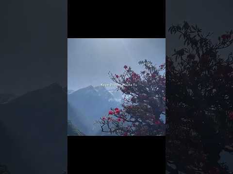 Channa Ve 💫🕊️ | Kyu Dikhe Mujhe Tu Sirhane Mere | Aesthetic Lyrics Status #shorts #love #status #yt