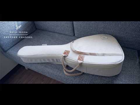 A Beautiful Guitar for the Winter Season