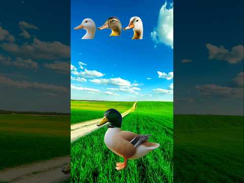 eider dine aeso tumi daud dilam eid mubarak #shorts